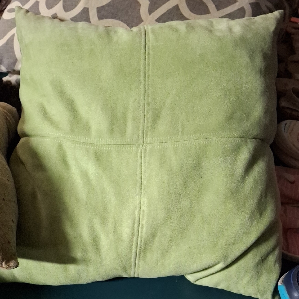 Soft Green Throw Pillow
